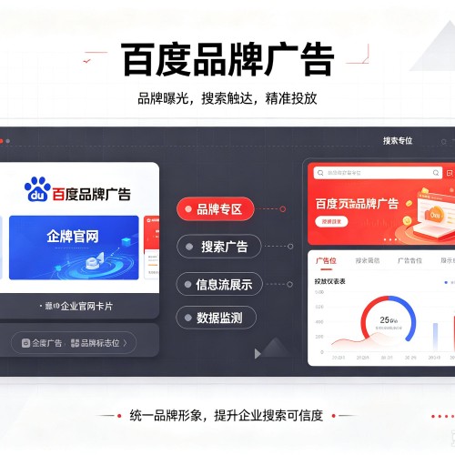 芦淞百度品牌广告